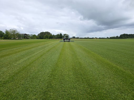 Major Swift Roller Mower better than Trimax by a long shot