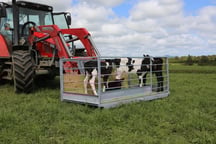 7 x 4 Transport Tray