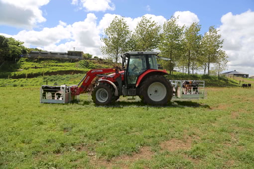 Dual Hitch 7 x 4 Transport Tray