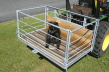 Transport trays