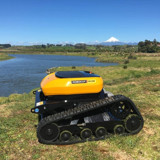 FB_IMG_1712832060656