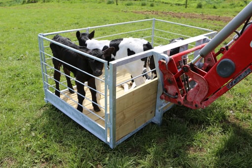 Calf Carry Trays for Euro Hitch on Tractor