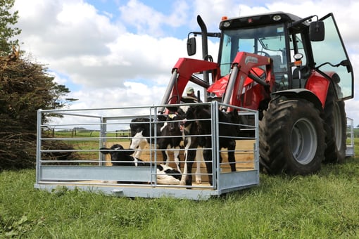 Front Mounted Carry All Tractor Tray for Calves